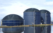 Lochmead 4.27.2011 006_web 2